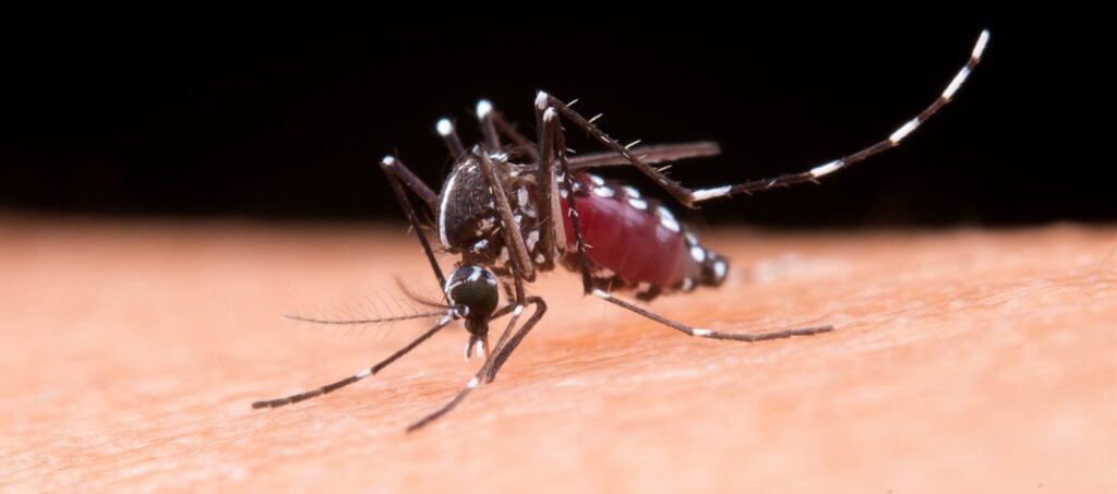 Climate change may raise malaria deaths in Africa by 2050