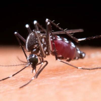 Climate change may raise malaria deaths in Africa by 2050