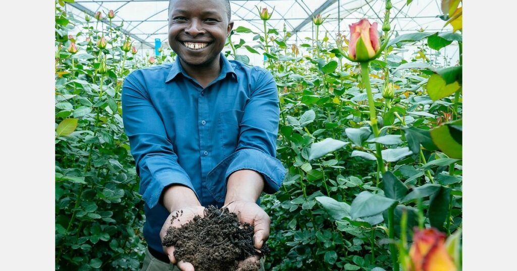 Improving soil health practices for better results