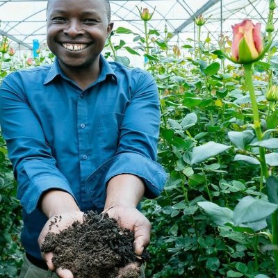 Improving soil health practices for better results