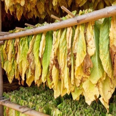 Ispire Technology Stock Falls 14% Amid Private Company Concerns