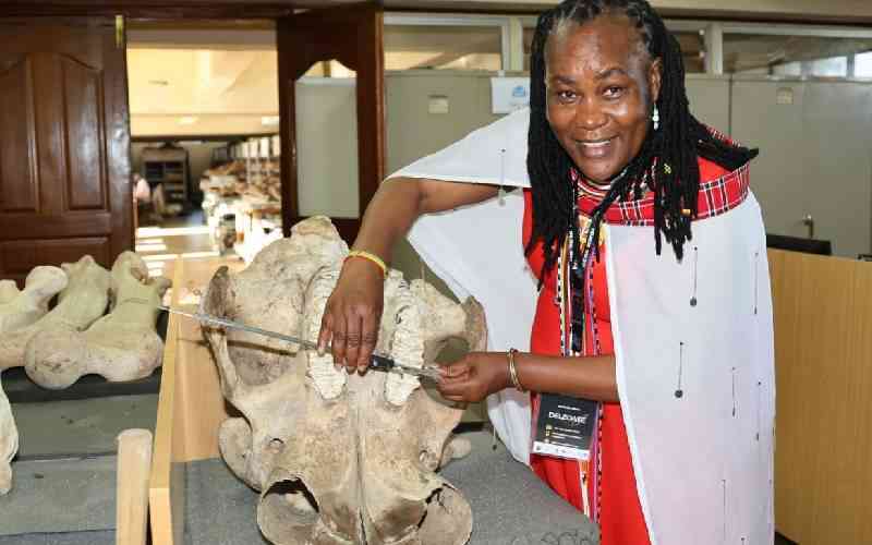 Kenya Discusses Elephants and Climate Change