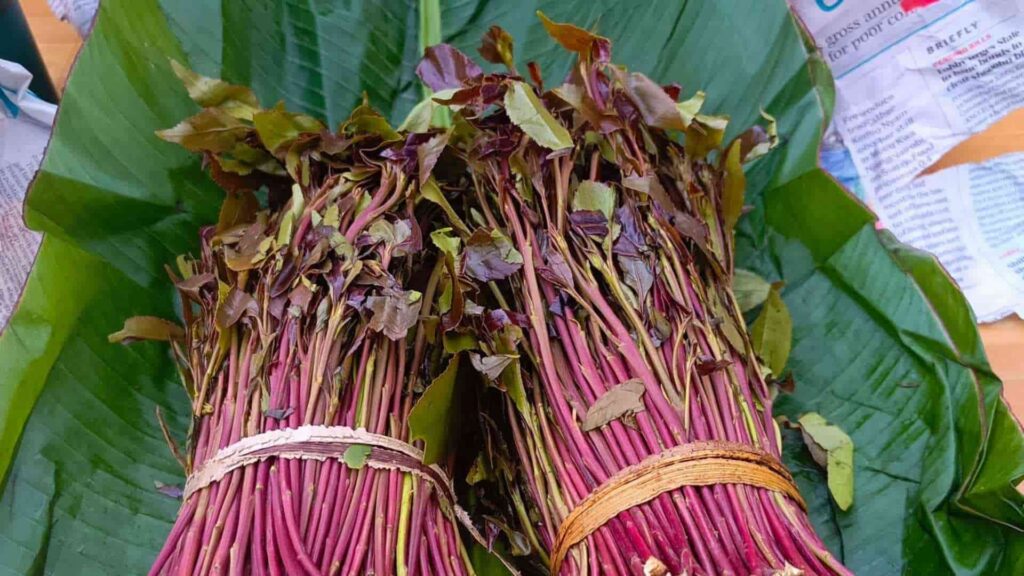 Kenya debates khat's legal status amid cultural use