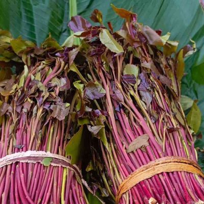 Kenya debates khat's legal status amid cultural use