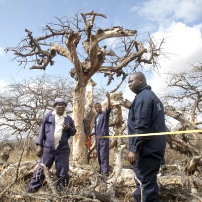 Kenya’s Carbon Trade Needs Policy Stability