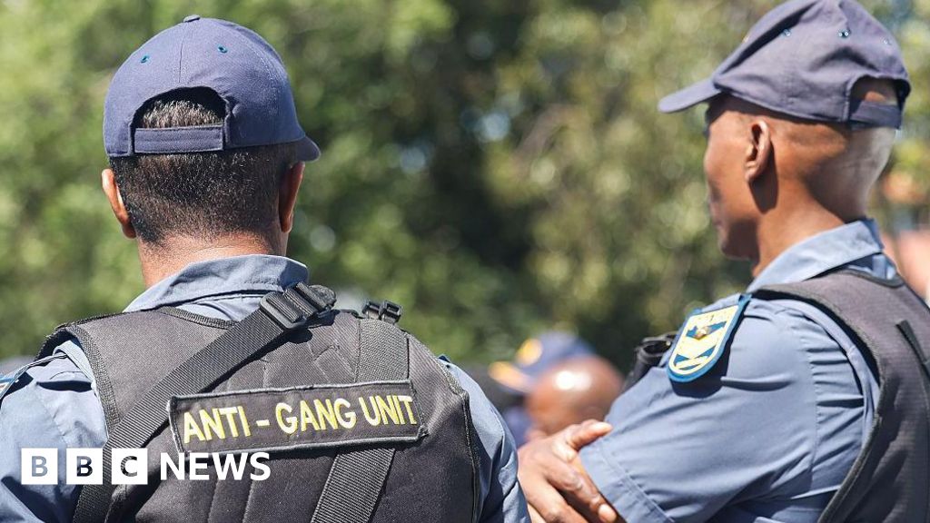 Police Struggle to Curb Gang Violence Cachalia Says