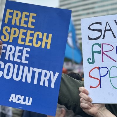 Safeguarding Free Speech Against Government Actions