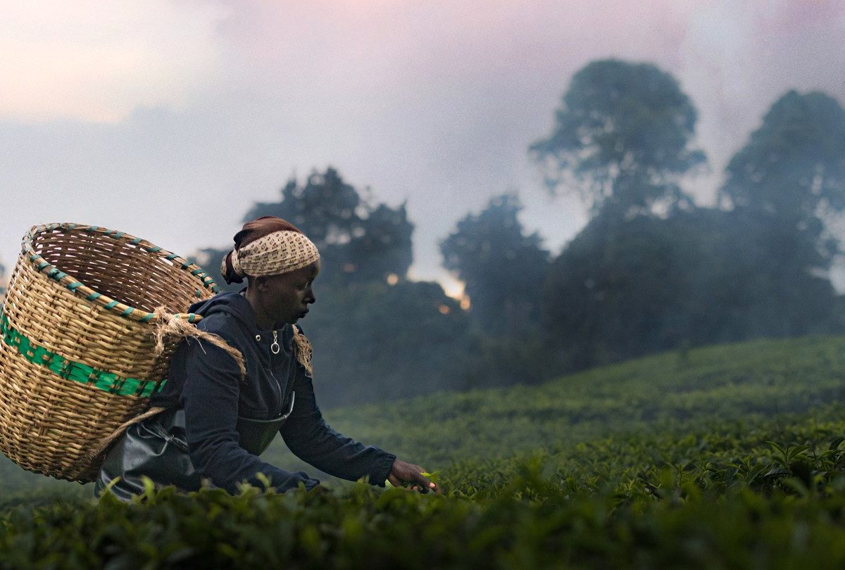 Sundance Film Explores Kikuyu Land Rights and Colonial History