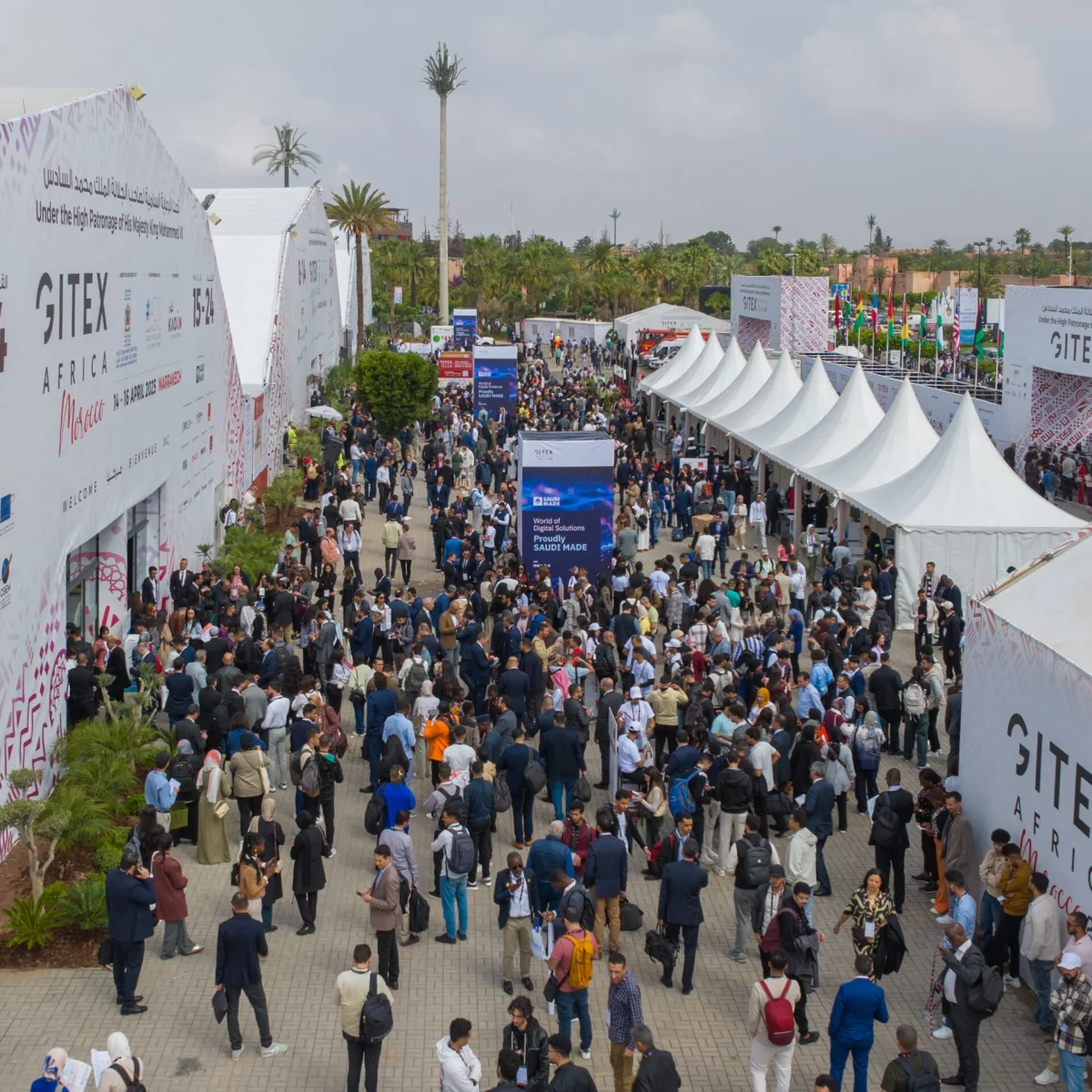 AI Powers New Version of Software