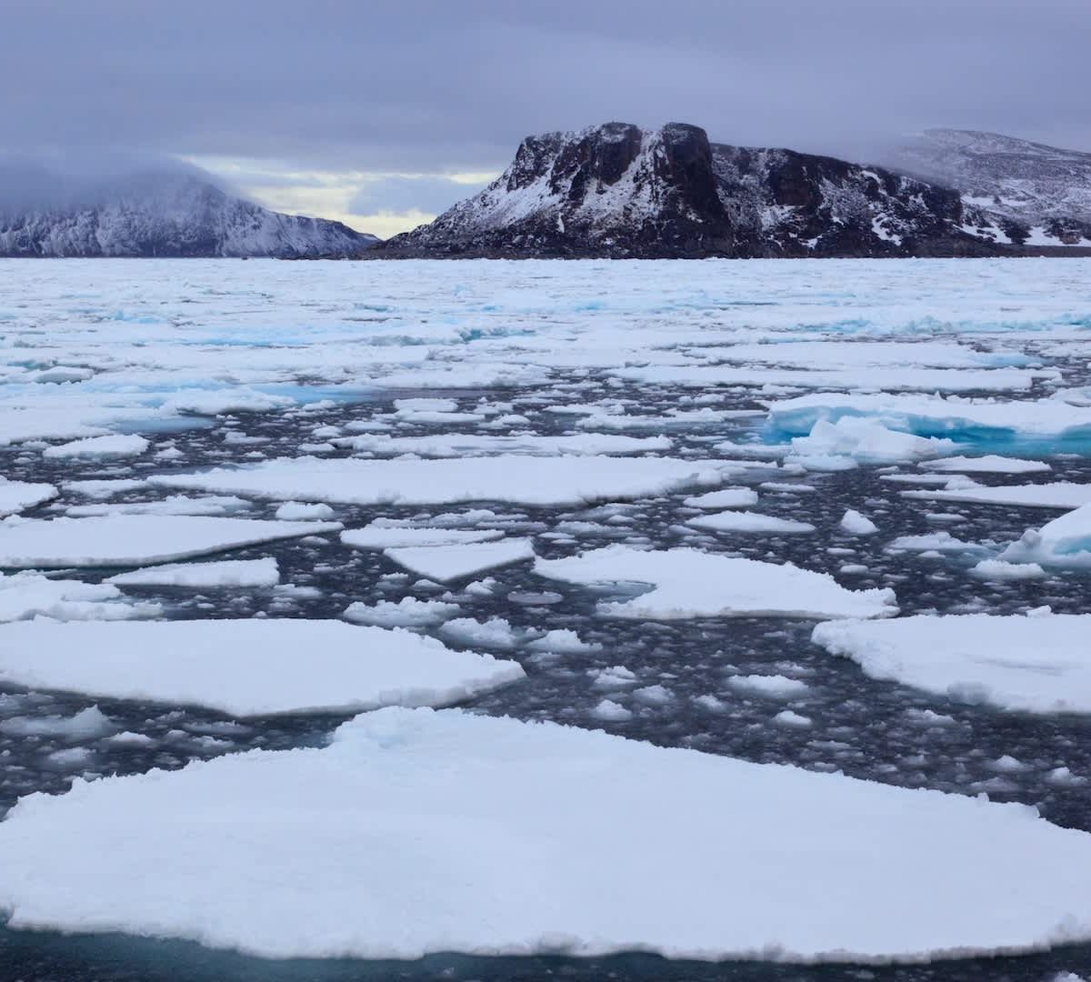 Cycle Persists with Recurring Issue