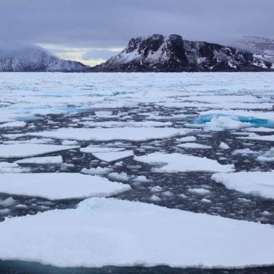 Cycle Persists with Recurring Issue