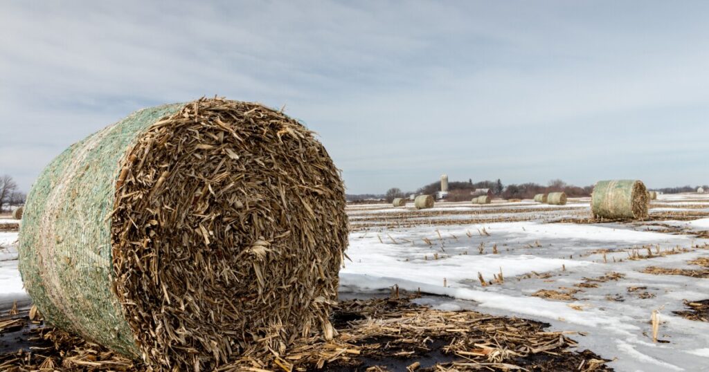 Farm groups seek market stability after tariff ruling