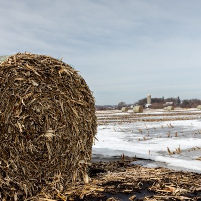 Farm groups seek market stability after tariff ruling