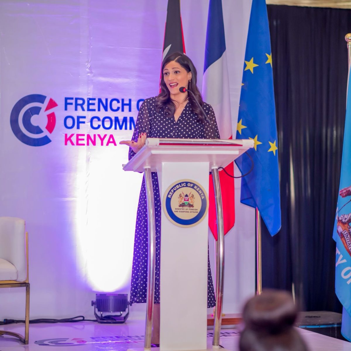 France Supports Kenyan Development in Key Sectors