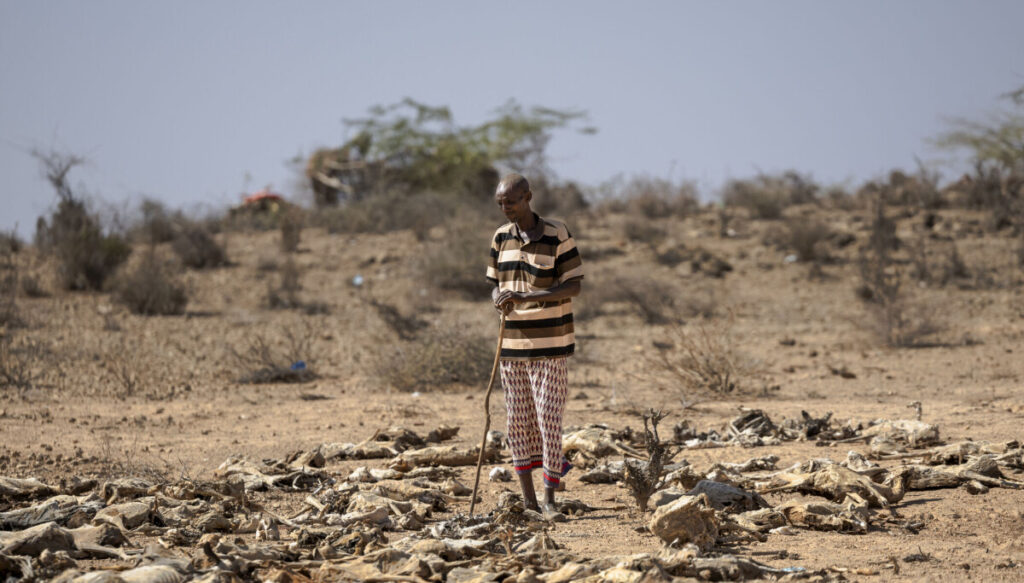 Kenya Drought Deepens Conflict Concerns in DRC