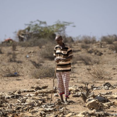 Kenya Drought Deepens Conflict Concerns in DRC