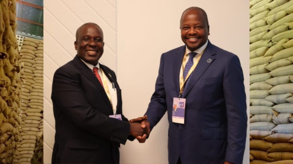 Kenya to Import Maize from Zambia Amid Rising Unga Prices