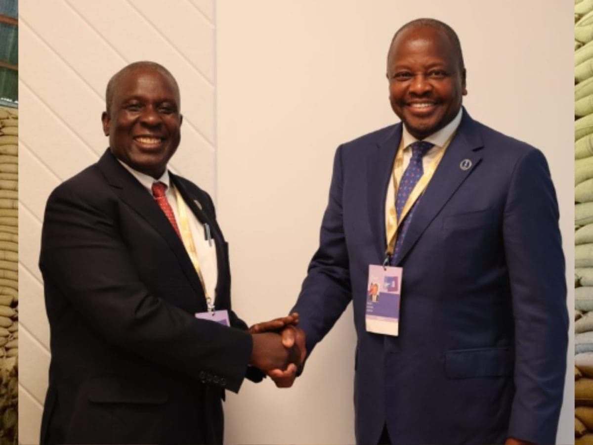 Kenya to Import Maize from Zambia Amid Rising Unga Prices