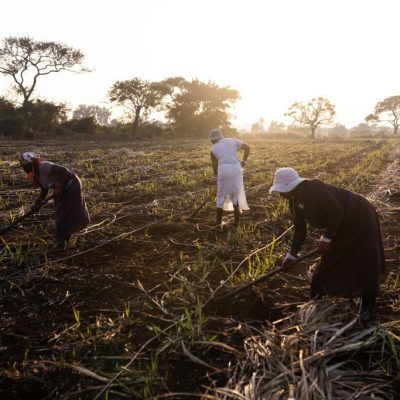 South Africa’s Sugar Sector Pursues Financial Stability