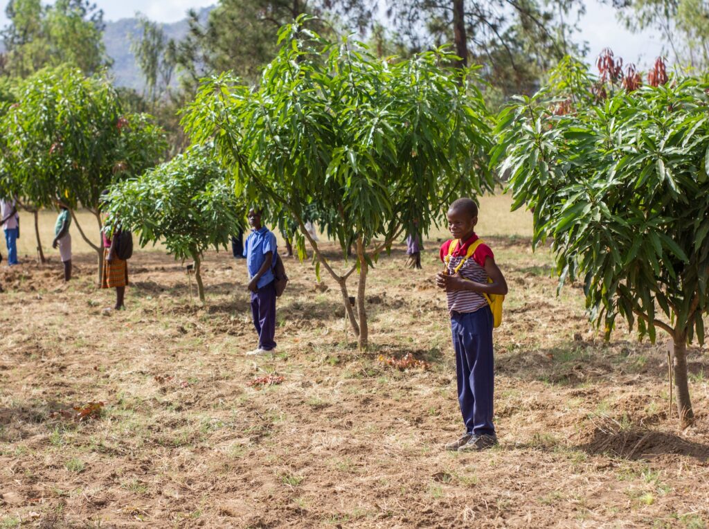 Youths Drive Climate Education Innovation in Africa