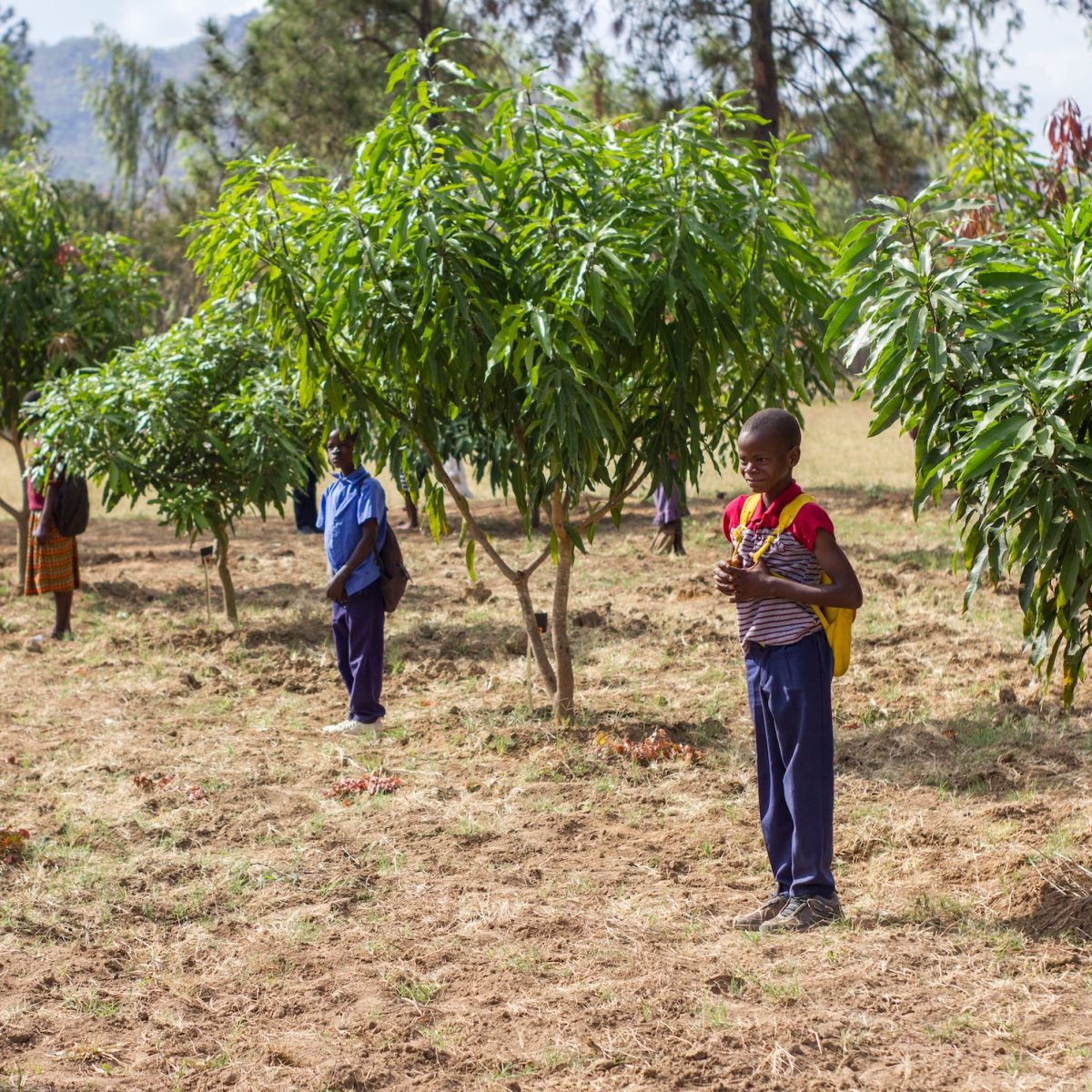 Youths Drive Climate Education Innovation in Africa