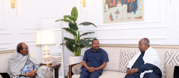 Horn of Africa Nations Coordinate Amidst Regional Tensions