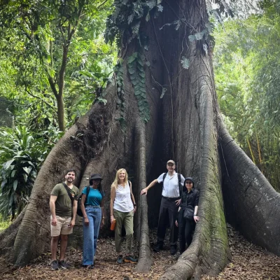 African forests now emit more carbon than they absorb