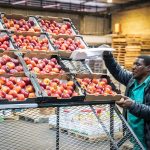 China's policy may spur African exports and industry