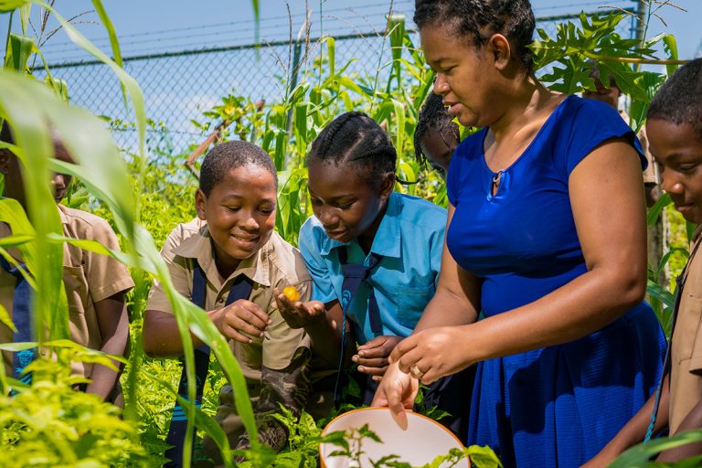 People of African Descent Marked in Observance Worldwide