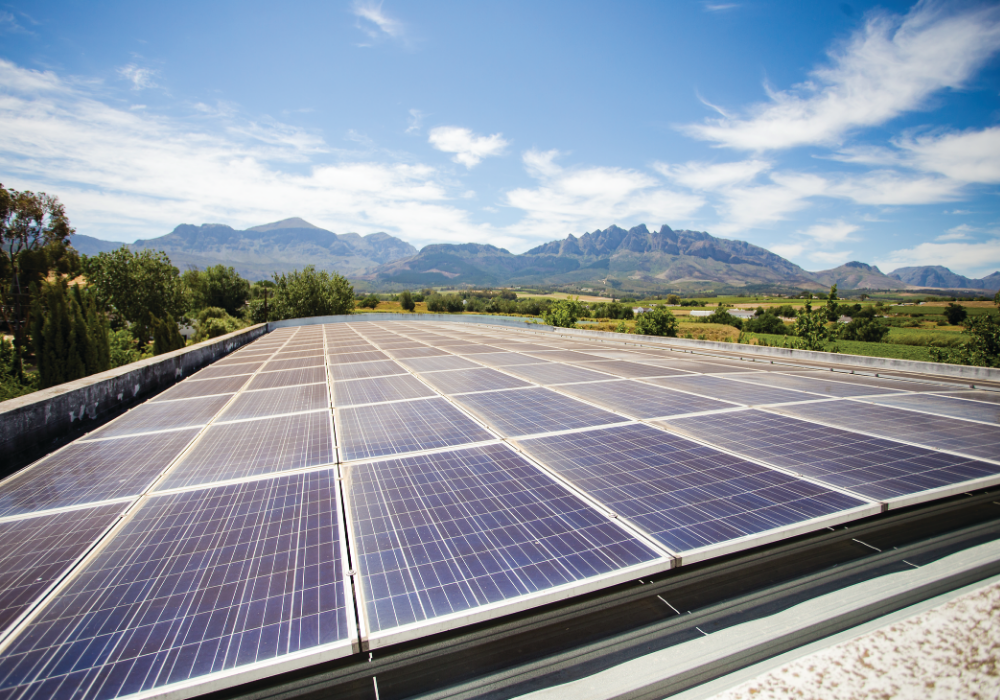 A wave of green bonds is reshaping climate finance in Africa