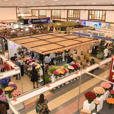 Kenya’s Flower Growers Turn to Climate-Smart Varieties