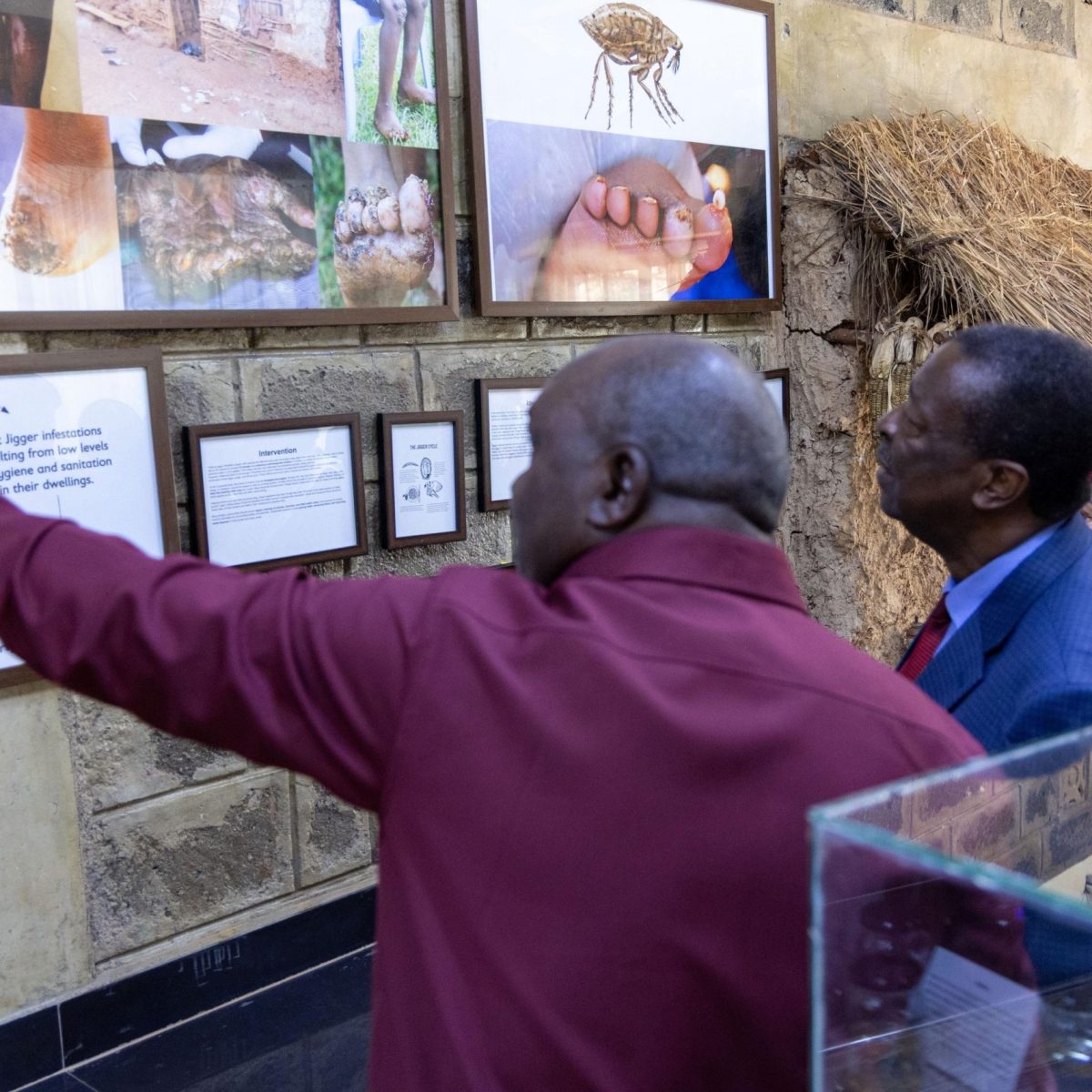 Mudavadi hails Kenya’s progress in war against jigger infestation