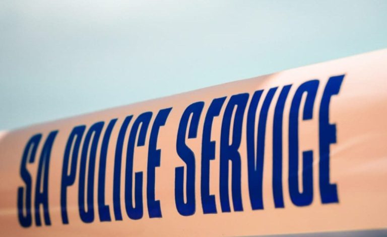 South Africa: Limpopo Police Sound Alarm Over Violence - South African News Briefs - May 28, 2026