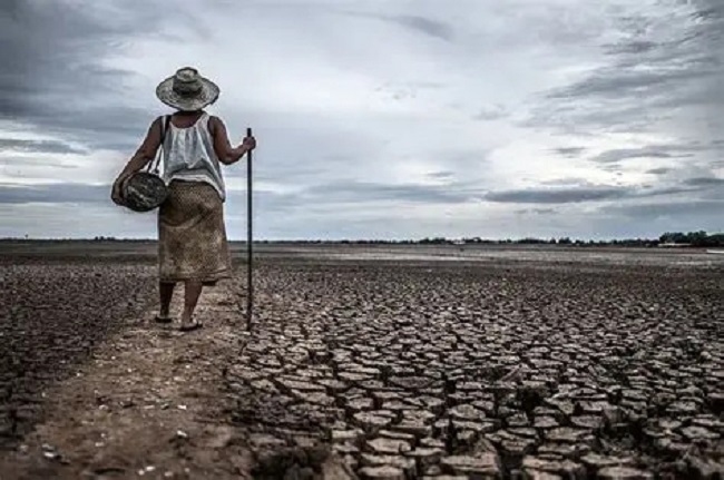 El Niño exposes Africa’s fragile food systems amid climate crisis - EnviroNews