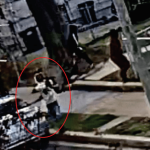 Family defends brothers accused of shooting at undercover US Park Police officer in DC
