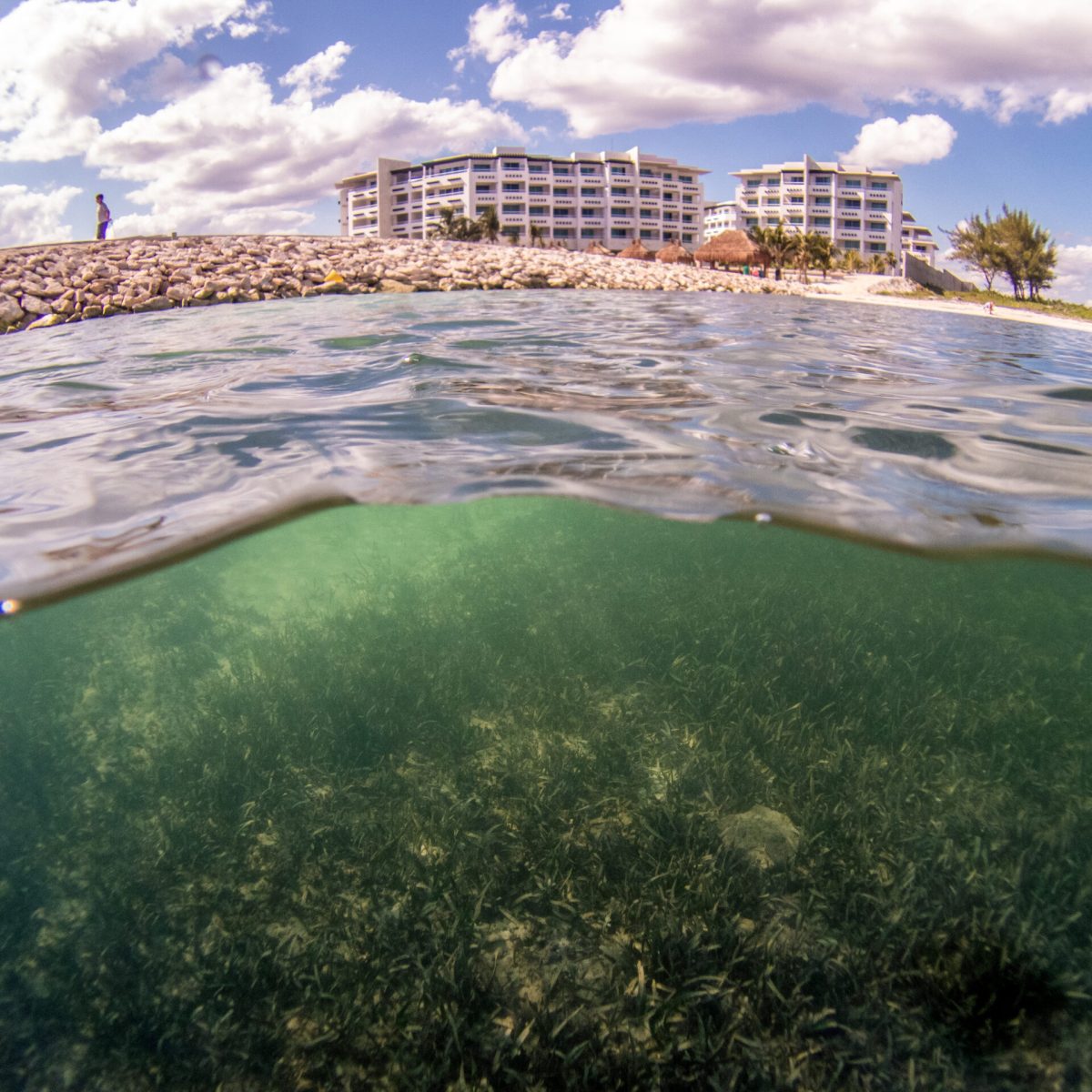 Global ocean protection target will fail without human rights