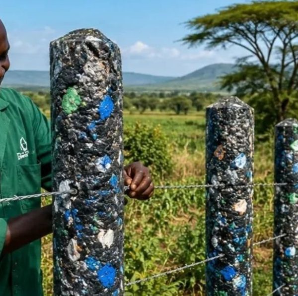 Kenya Recycles Plastic Waste Into Fence Posts Replacing Traditional Timber