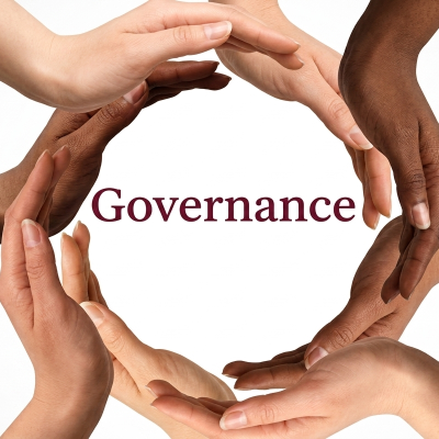 Learning from consultative governance: Inclusive development paths for Africa and the Global South -Newsday Zimbabwe