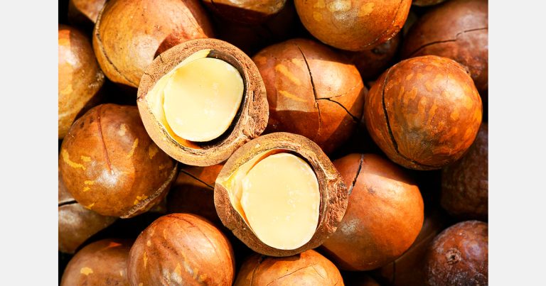 Macadamia backlog prompts export ban review in Kenya