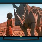 Now Streaming: Dallas-Based AfroLandTV is the New 'Netflix for the Global Pan African Diaspora' » Dallas Innovates