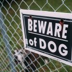 Ohio Supreme Court rules landlord is not liable for dog attack