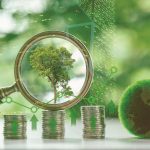 Role of environment in economic transition cannot be overstated