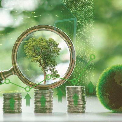 Role of environment in economic transition cannot be overstated