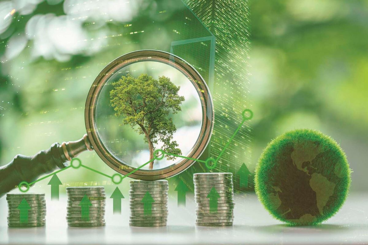 Role of environment in economic transition cannot be overstated
