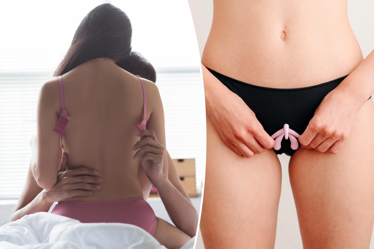 Scientists create 3D map of the ‘black box’ of female genitals