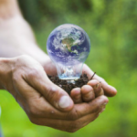 World Environment Day 2026: environment, climate, and human rights at the centre of global attention