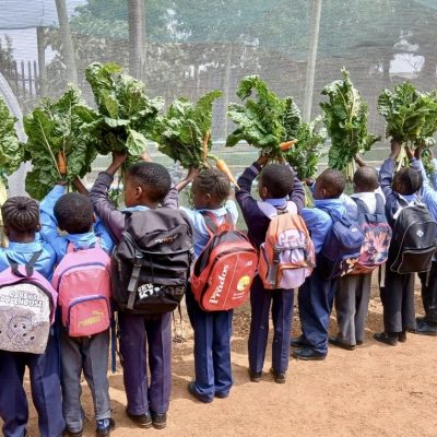 Young South Africans take up sustainable agriculture for food security