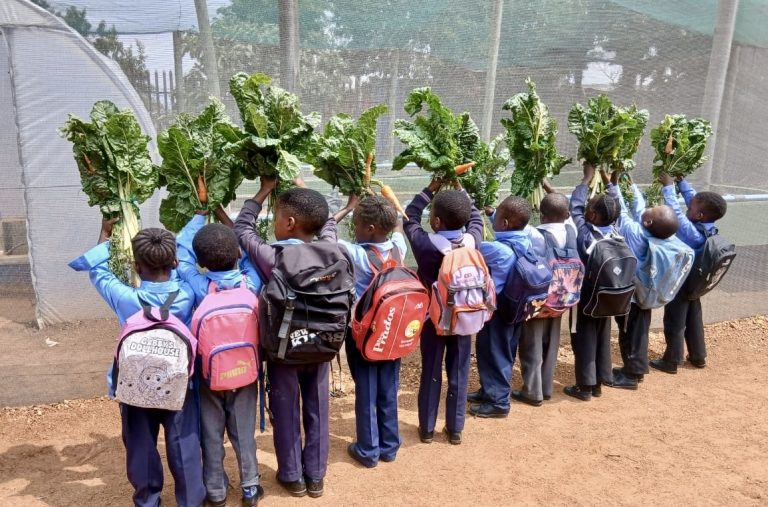 Young South Africans take up sustainable agriculture for food security