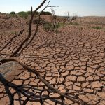 Africa's growth outlook faces fresh climate threat as AfDB warns powerful El Niño could wipe out $20bn, shrink GDP and trigger migration