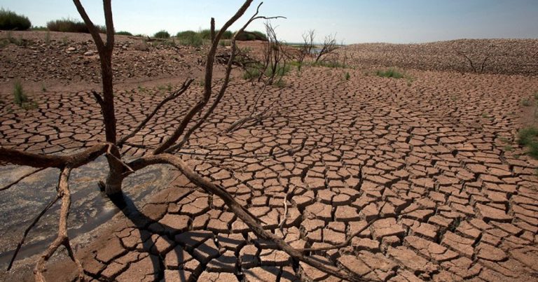 Africa's growth outlook faces fresh climate threat as AfDB warns powerful El Niño could wipe out $20bn, shrink GDP and trigger migration